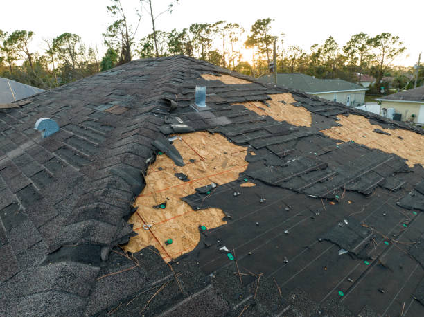 Best Rubber Roofing (EPDM, TPO)  in Mcnary, AZ