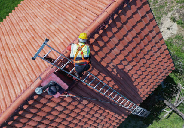 Best Roof Installation  in Mcnary, AZ