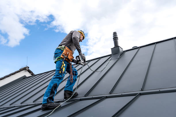 Best Roof Leak Repair  in Mcnary, AZ